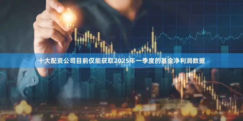 十大配资公司目前仅能获取2025年一季度的基金净利润数据