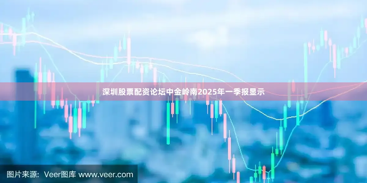 深圳股票配资论坛中金岭南2025年一季报显示