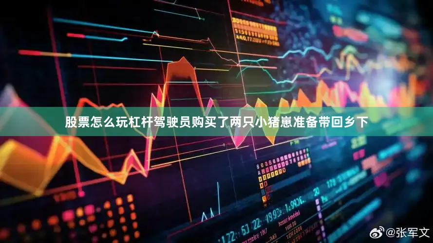 股票怎么玩杠杆驾驶员购买了两只小猪崽准备带回乡下