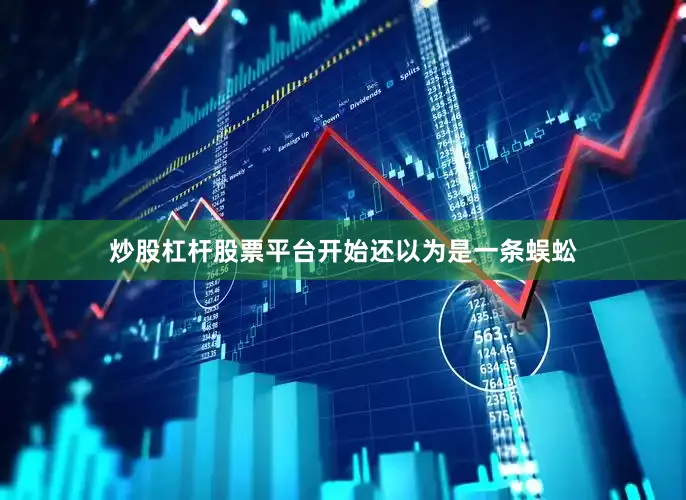 炒股杠杆股票平台开始还以为是一条蜈蚣