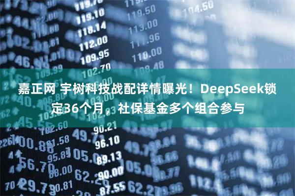 嘉正网 宇树科技战配详情曝光！DeepSeek锁定36个月，社保基金多个组合参与